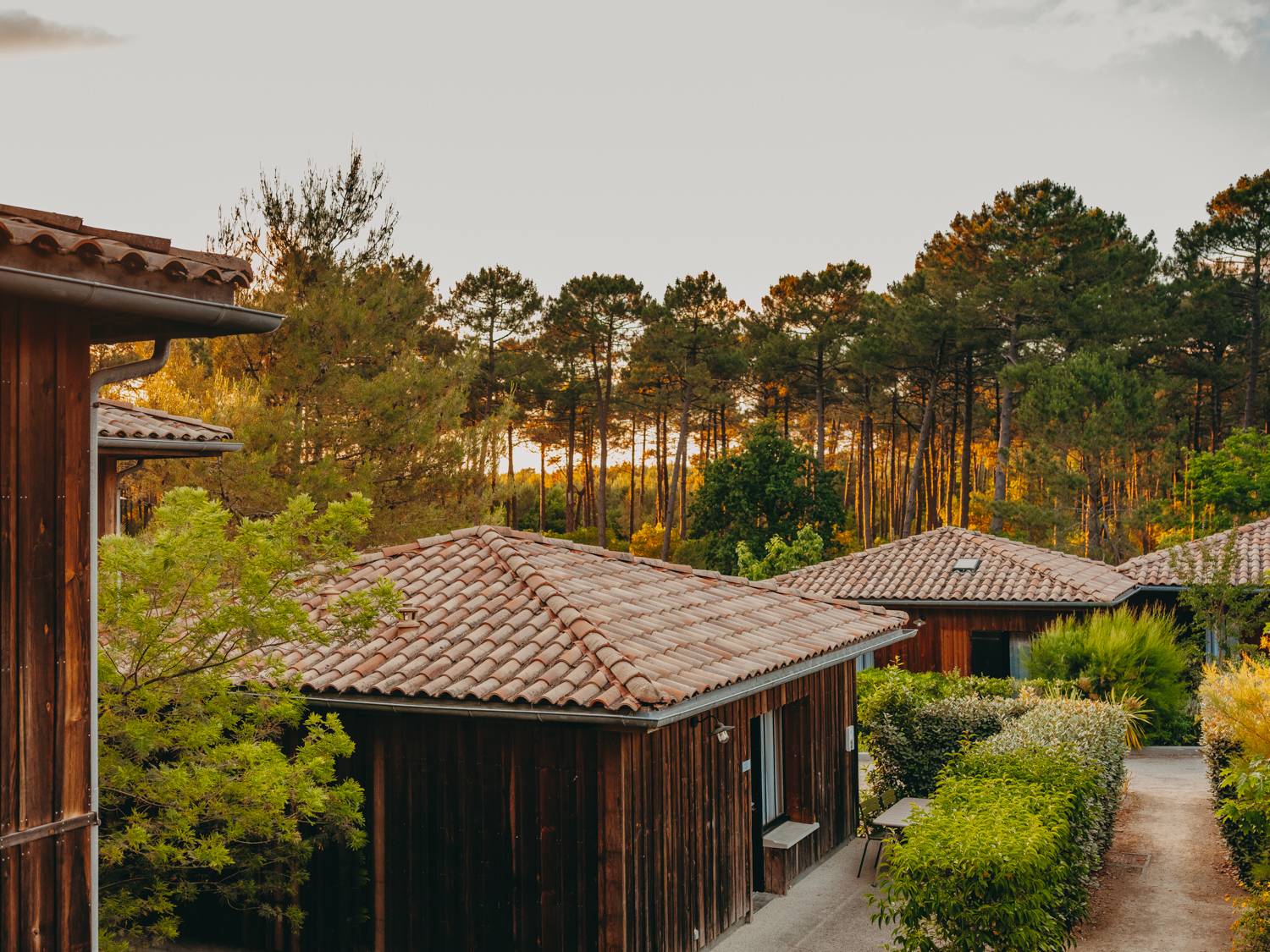 Domaine du Ferret lodges among pine trees, seminar venue at Cap Ferret