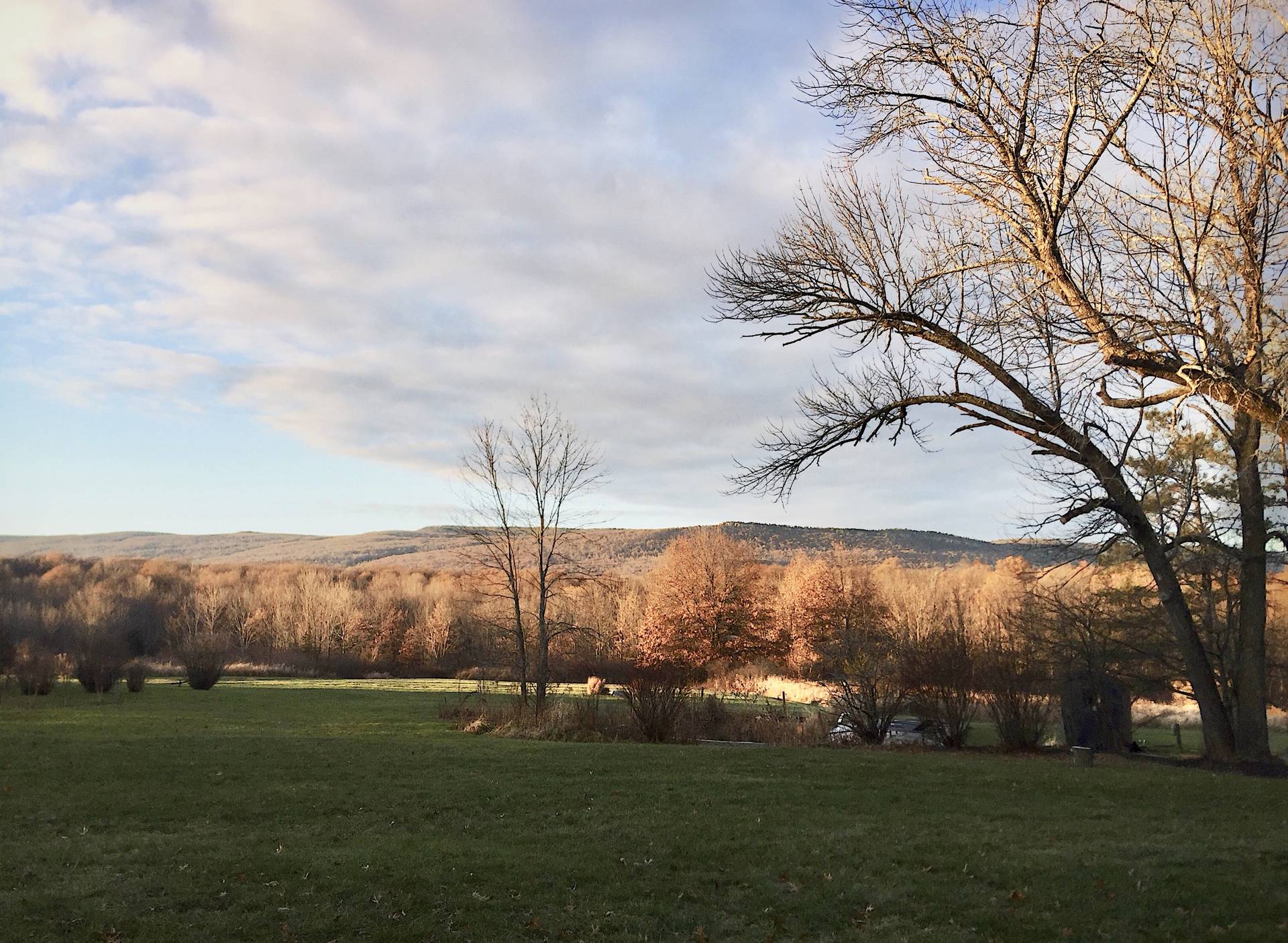 Audrey's Farmhouse + The Greenhouses, corporate retreat venue in Wallkill, New York